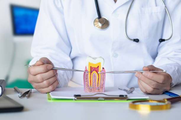  North Les, AK Emergency Dentist Pros